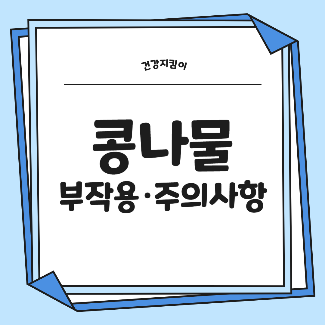 콩나물 효능 부작용 숙취 칼로리