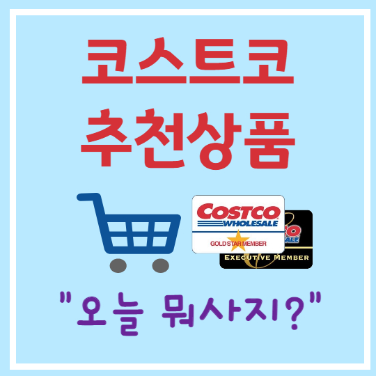 코스트코 추천상품