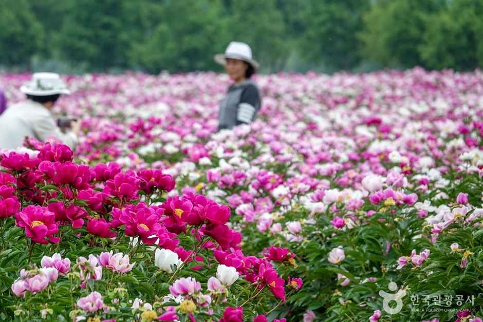 합천 핫들생태공원