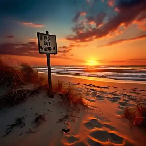 건강보험 환급금 조회 및 신청 방법