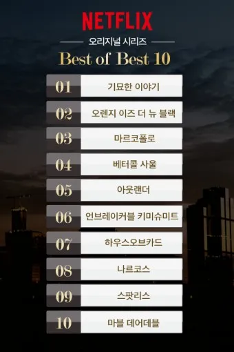 넷플릭스 순위 미드 일드 베스트 10_4