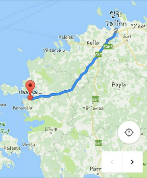 에스토니아 렌트카여행