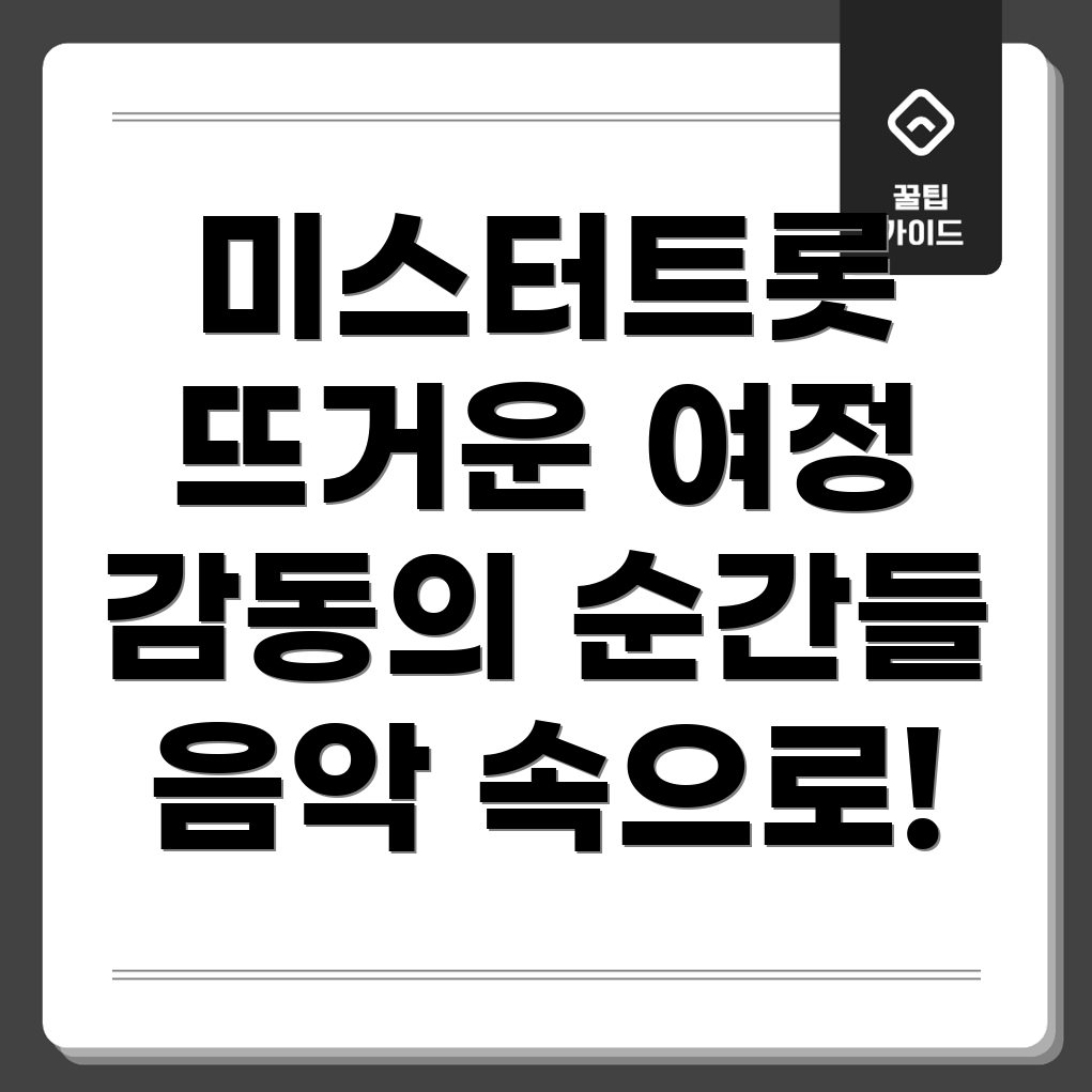 미스터트롯 콘서트