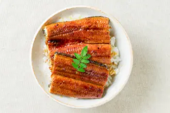 민물장어 가격 및 효능, 영양성분