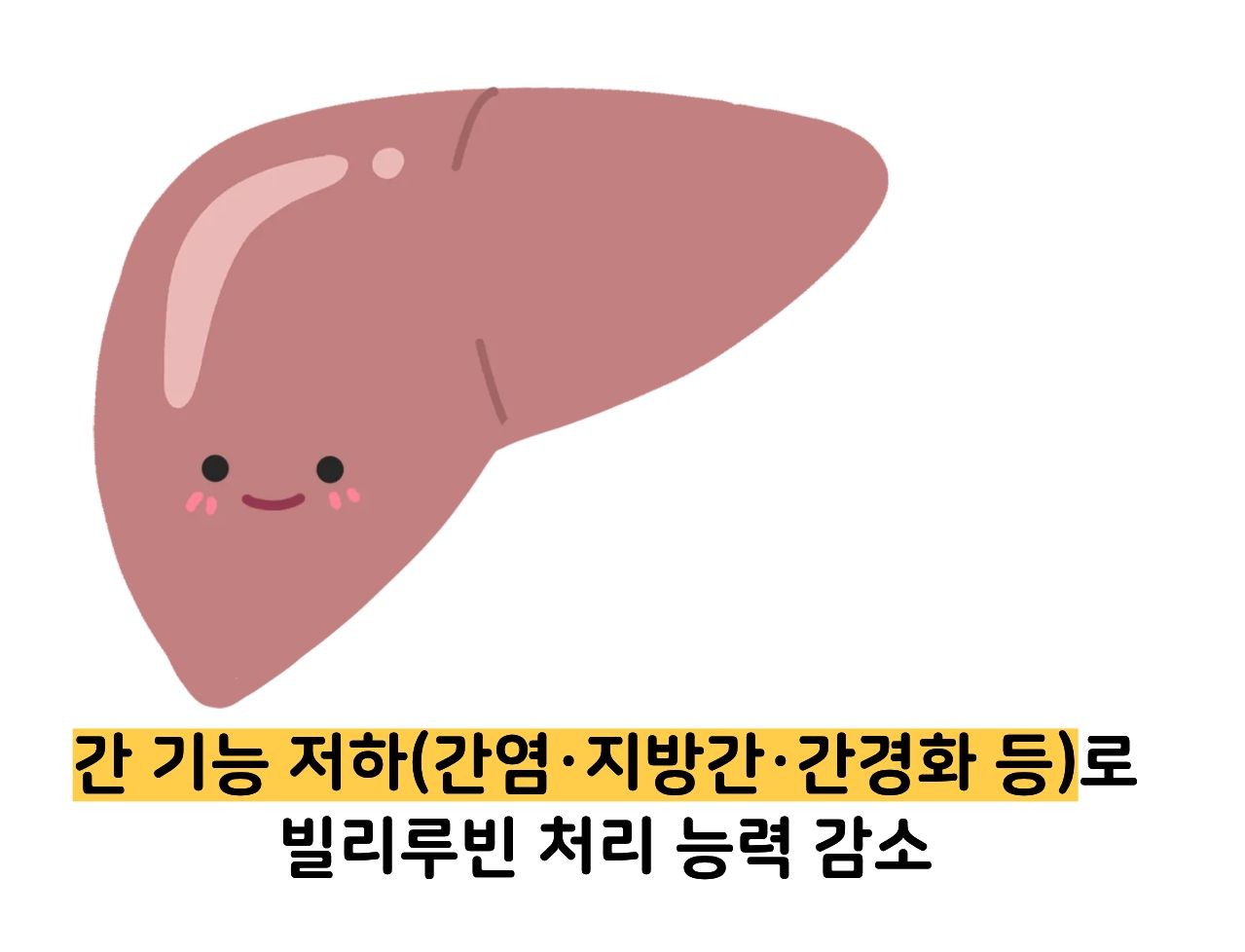 빌리루빈 수치상승 원인