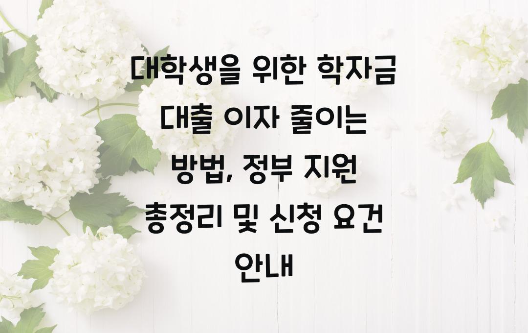 대학생을 위한 학자금 대출 이자 줄이는 방법 (정부 지원 총정리)