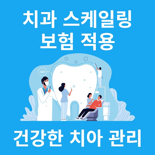 치과 스케일링 보험적용