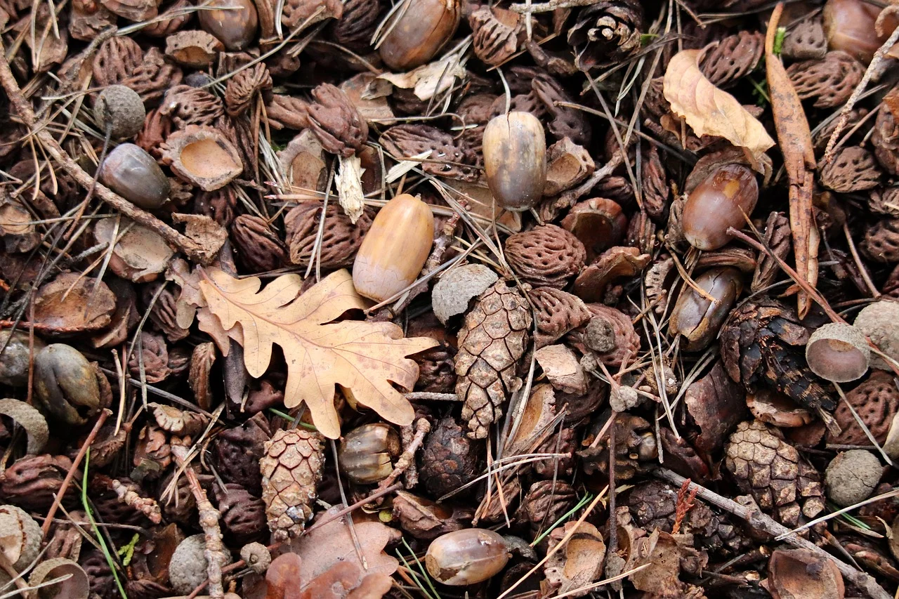 제15편 집단사고(Groupthink): 응집력 높은 집단이 합리성을 잃는 구조