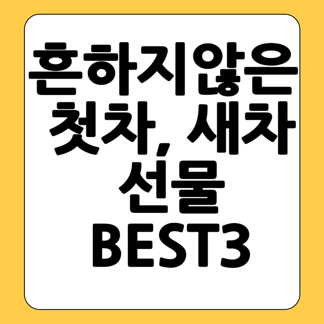 새차선물 흔하지않은 첫차기념 차량용품 선물BEST3