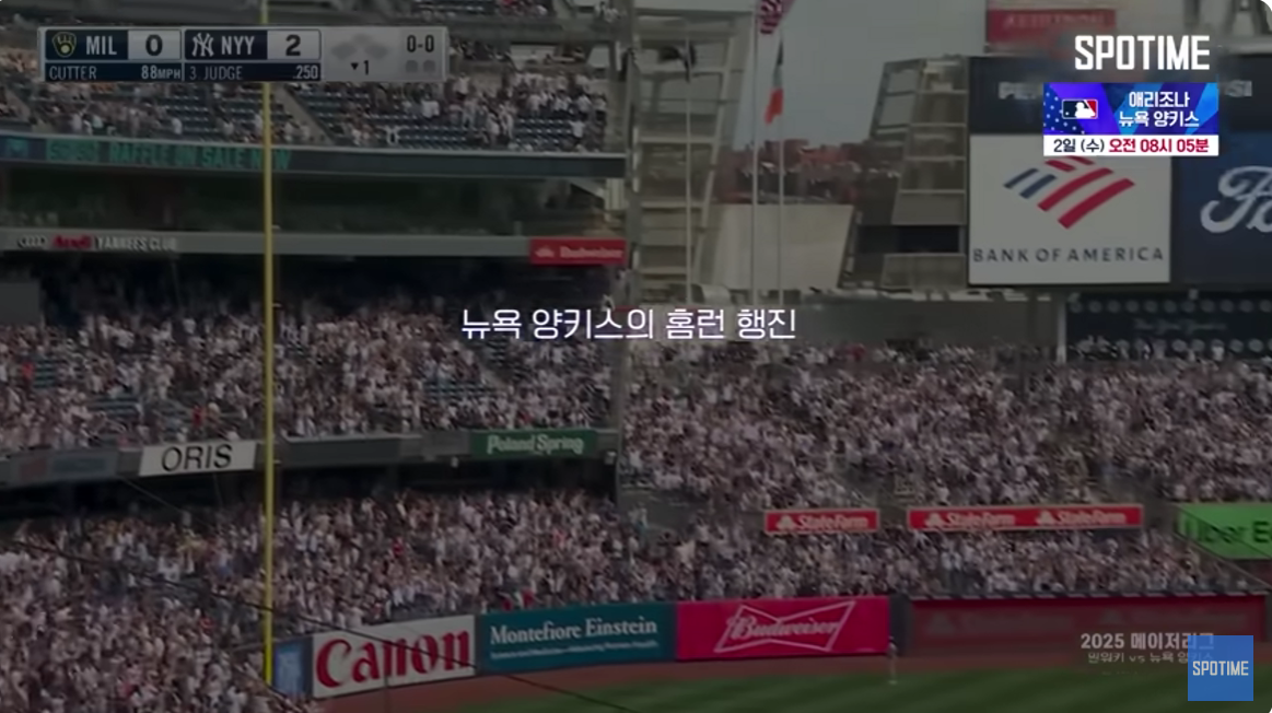 결론: 어뢰배트, 정말 게임 체인저인가?