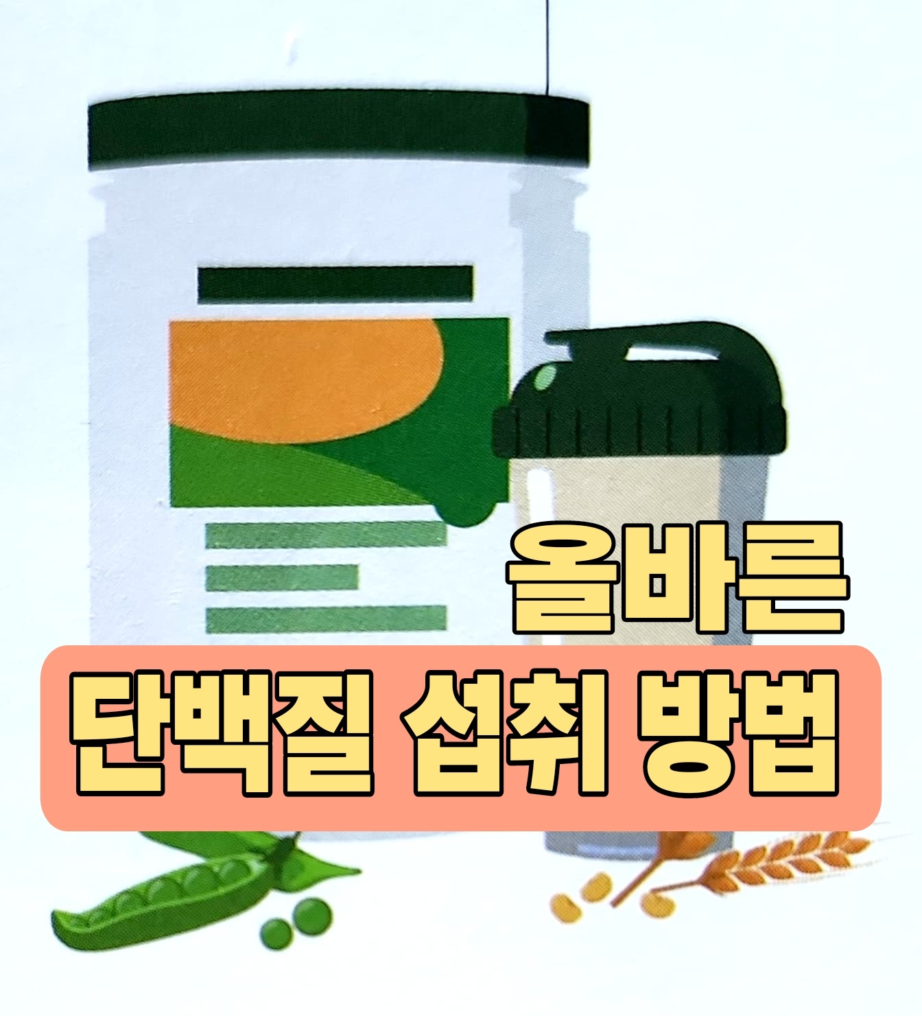 단백질