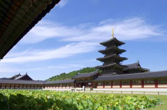 부여 가볼만한곳 베스트10 완벽 역사 여행_19