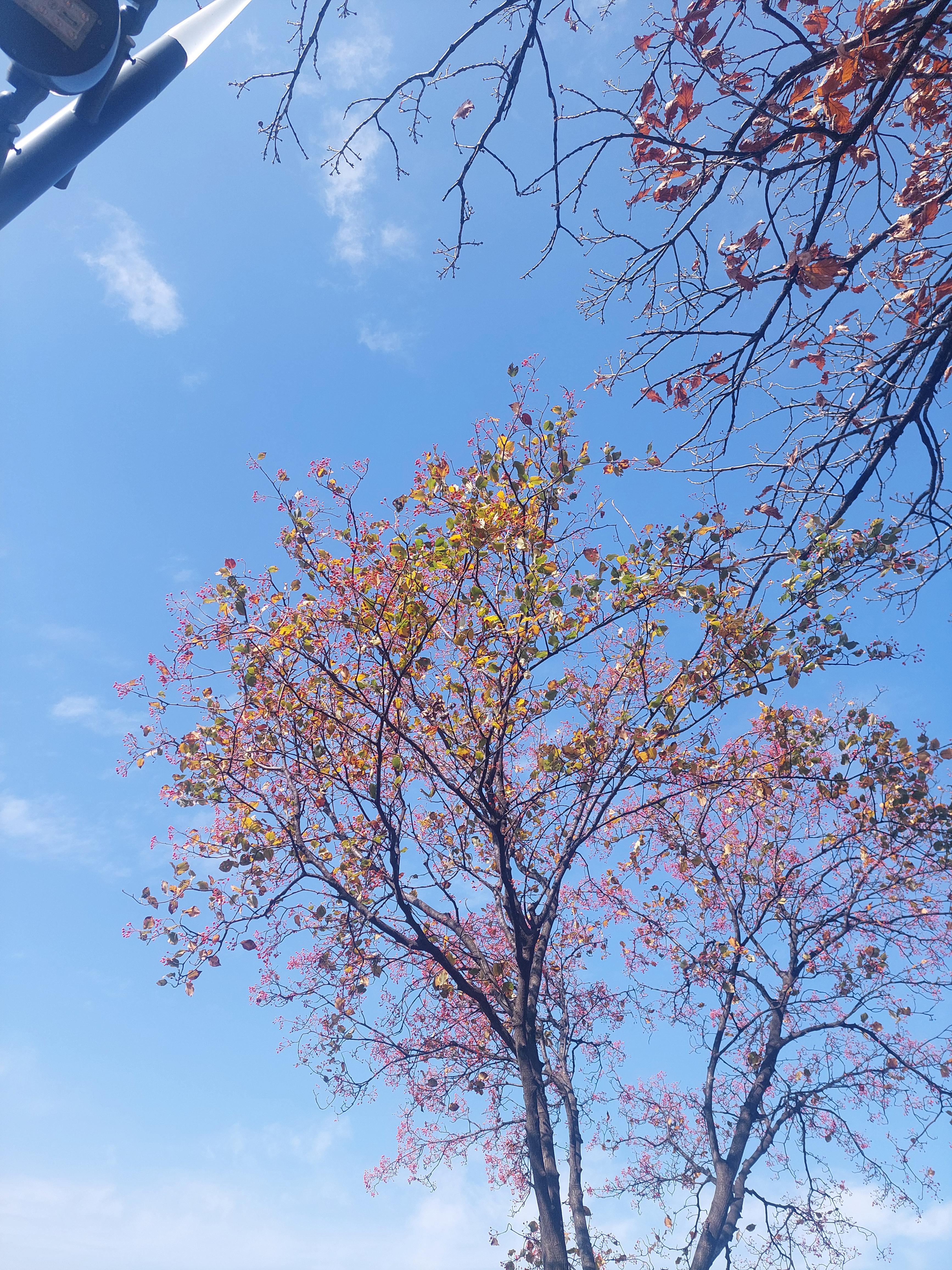 남산