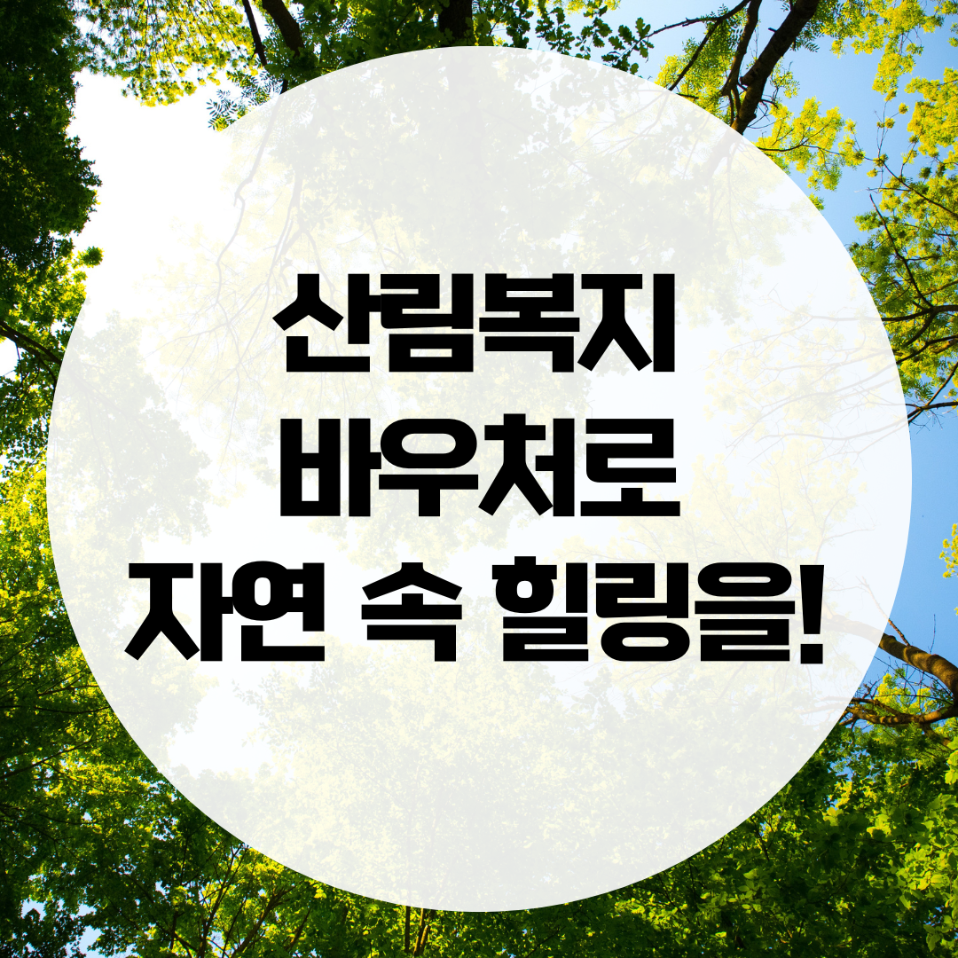 블로그 썸네일 산림복지바우처