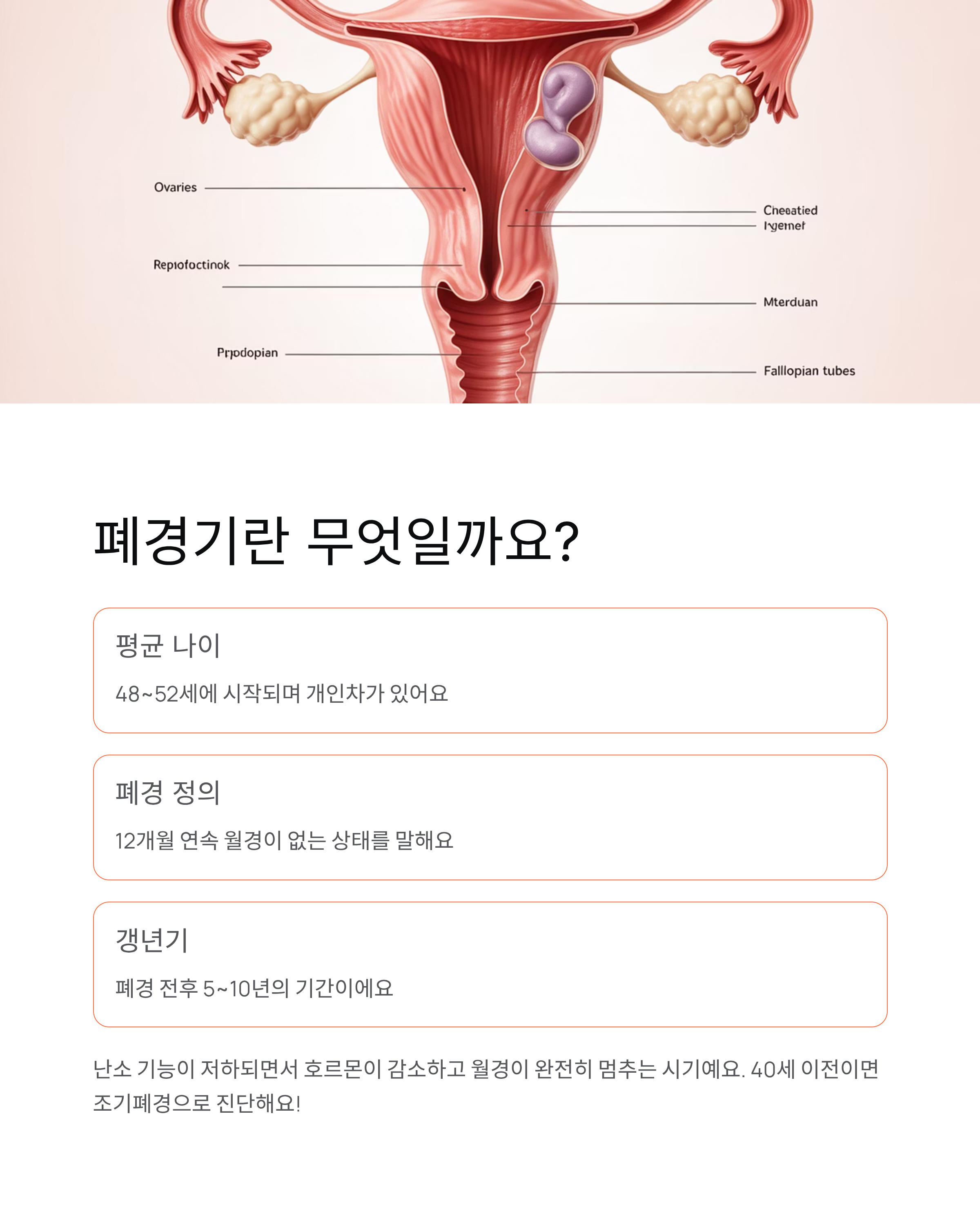 폐경기 증상 - 나이·초기증상·자가진단·관리법 완벽 정리! 🌸