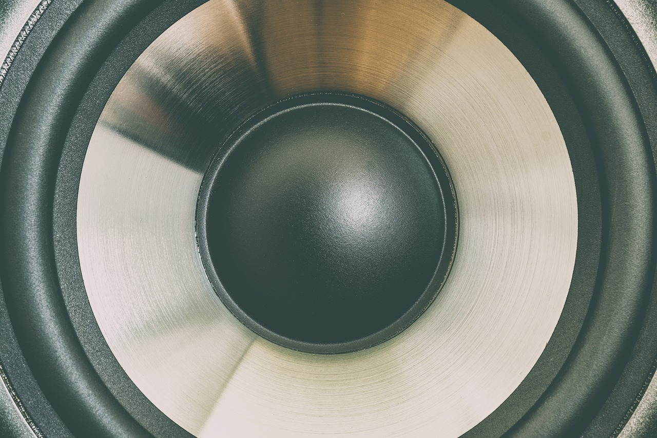 자동차 오디오 시스템