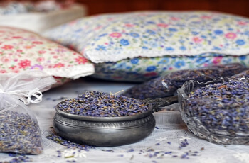 허브아일랜드 라벤더 축제 만들기 체험