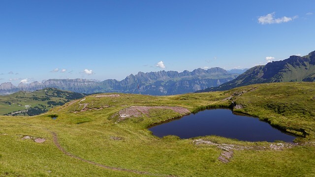 토지임야대장 발급방법