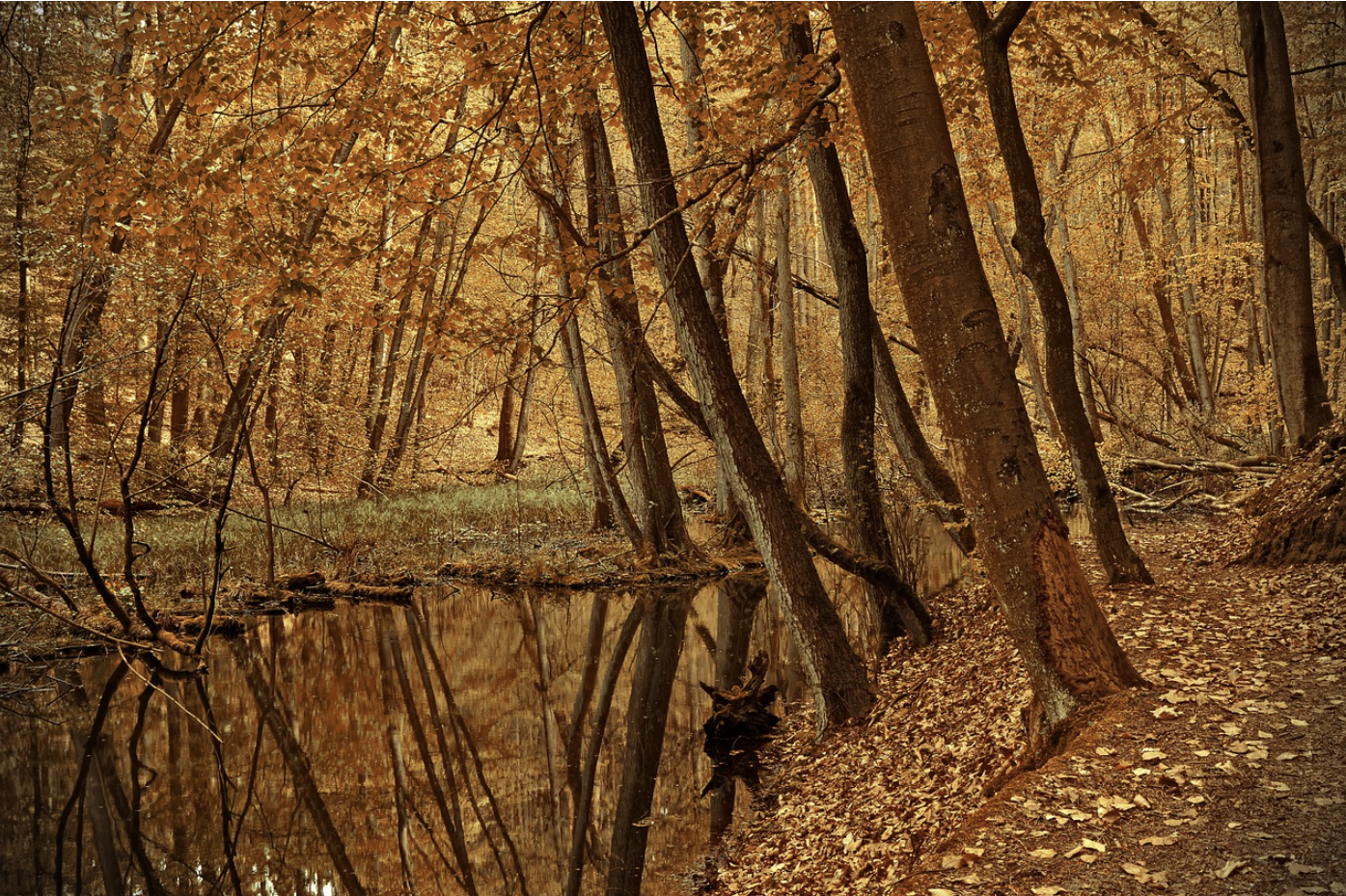 2024년 단풍 절정시기