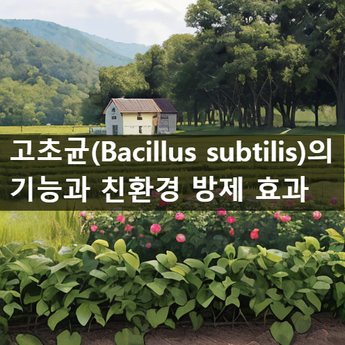 고초균(Bacillus subtilis)의 기능과 친환경 방제 효과