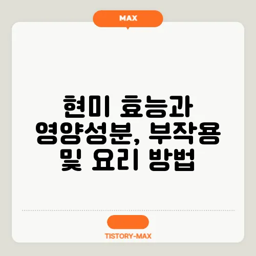 현미 효능과 영양성분, 부작용 및 요리 방법