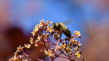근로복지공단 퇴직연금 중도인출을 위한 필수 서류 안내 1