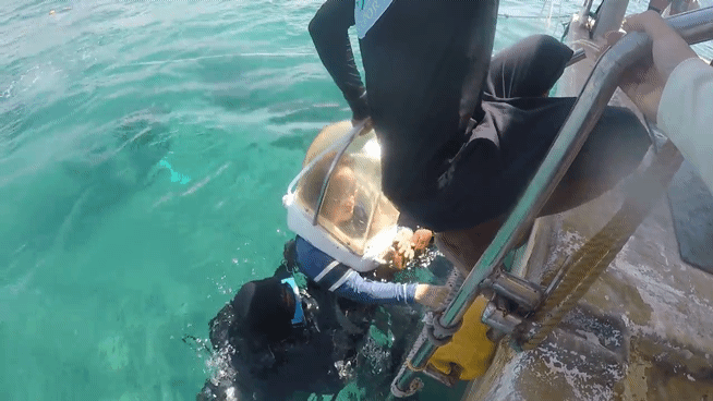 할머니-해외여행-씨워커-필리핀-스노쿨링