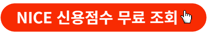 나이스-신용점수-조회