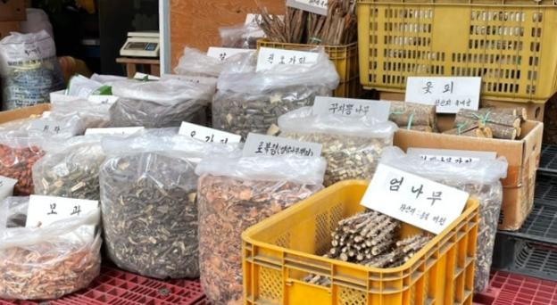 서울 경동시장 약초 가게 이미지 2