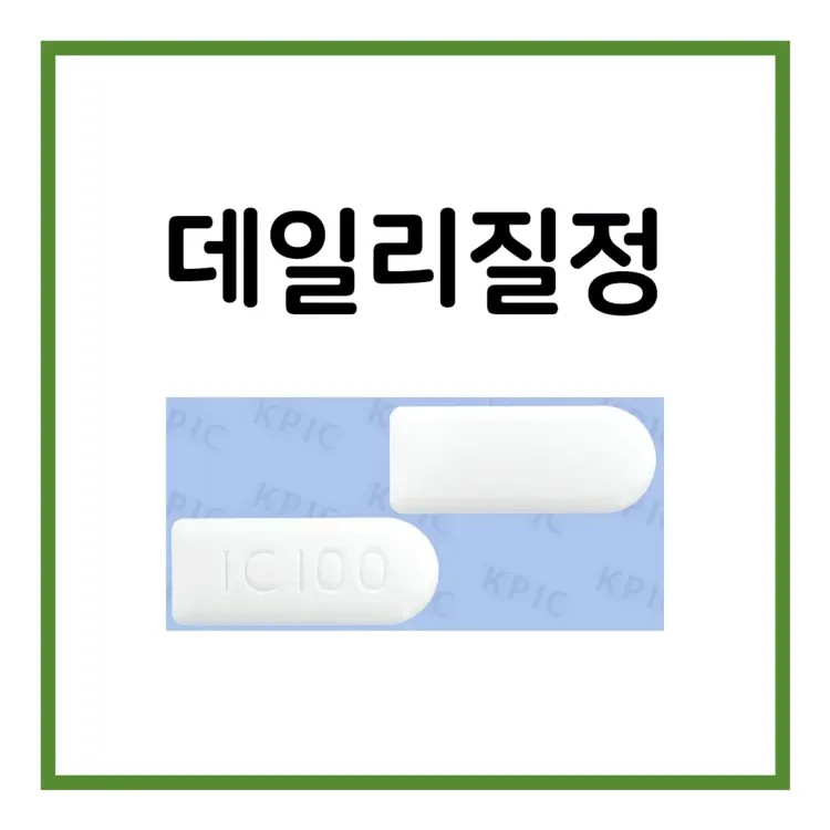 데일리질정-이미지