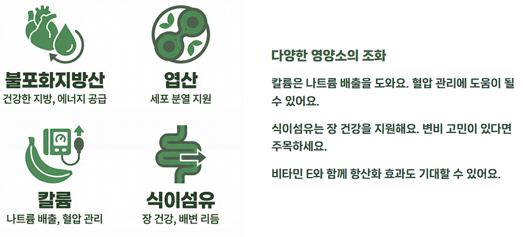 아보카도 오일 캡슐 효능 부작용