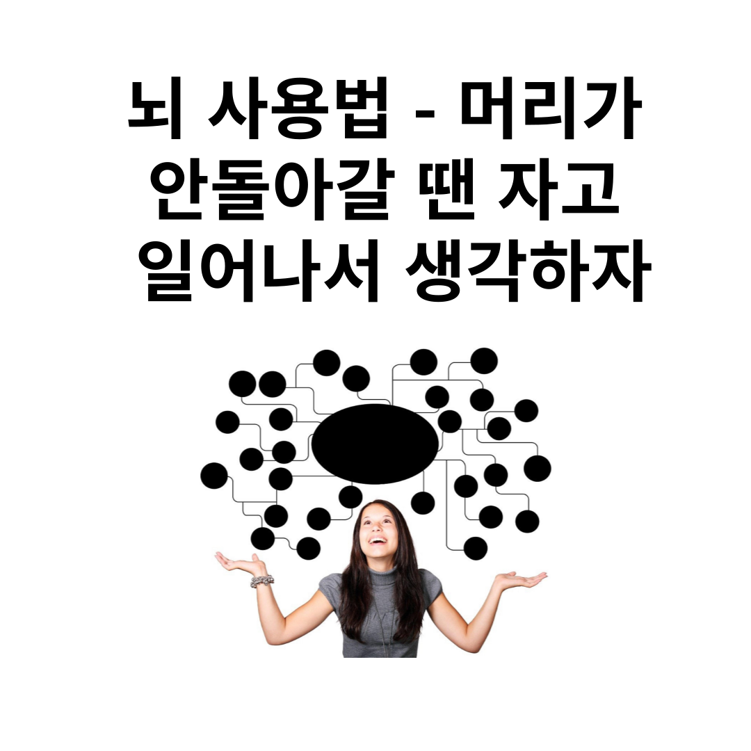 뇌 사용법 - 머리가 안돌아갈 땐 자고 일어나서 생각하자