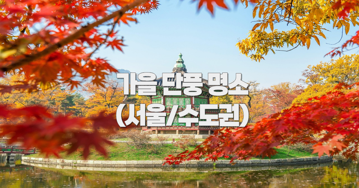 2025 가을 단풍명소(서울/ 수도권)