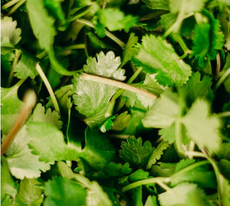 비장에 좋은 음식