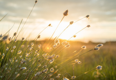 풍수지리학적-한옥-특징-바람-햇빛