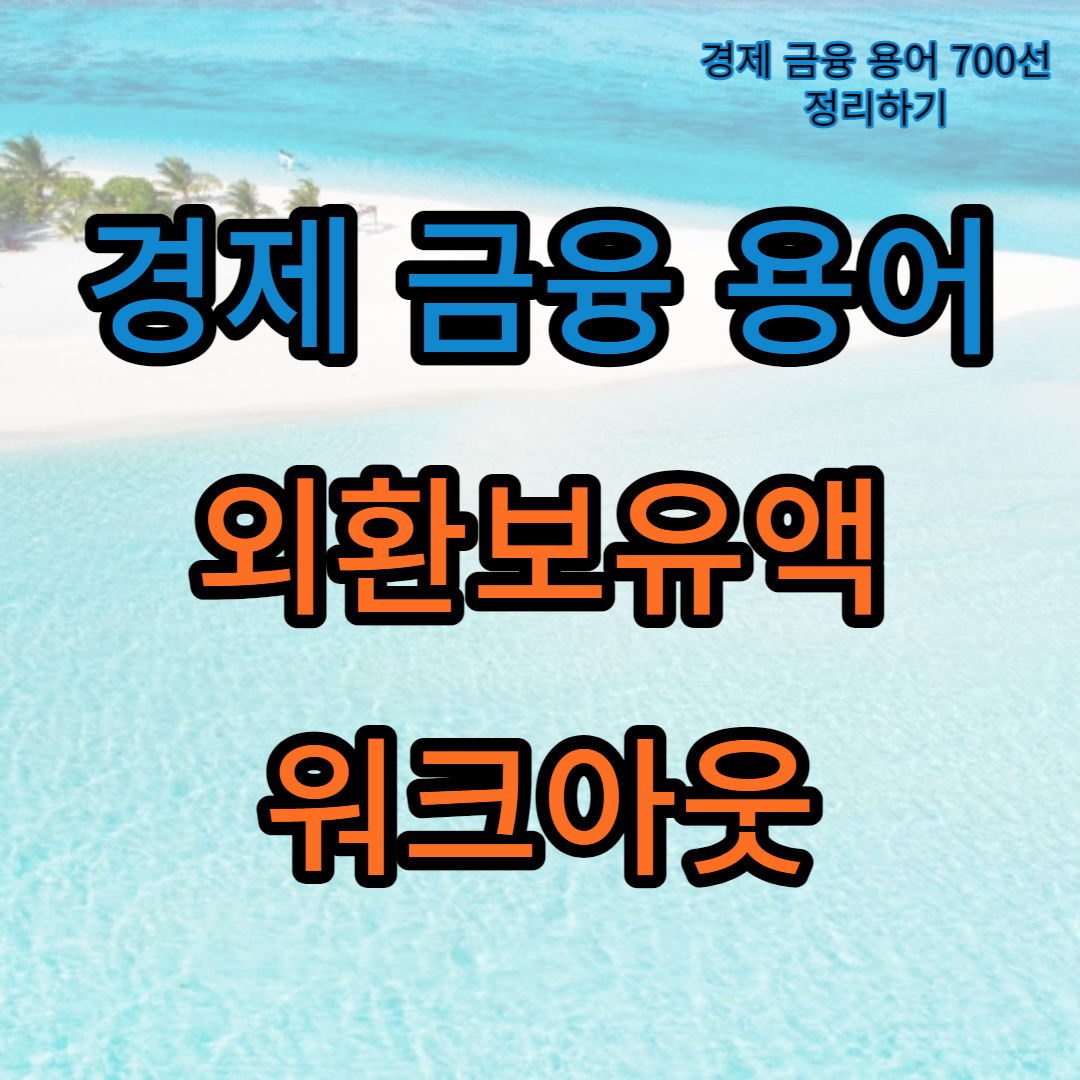 외환보유액_워크아웃