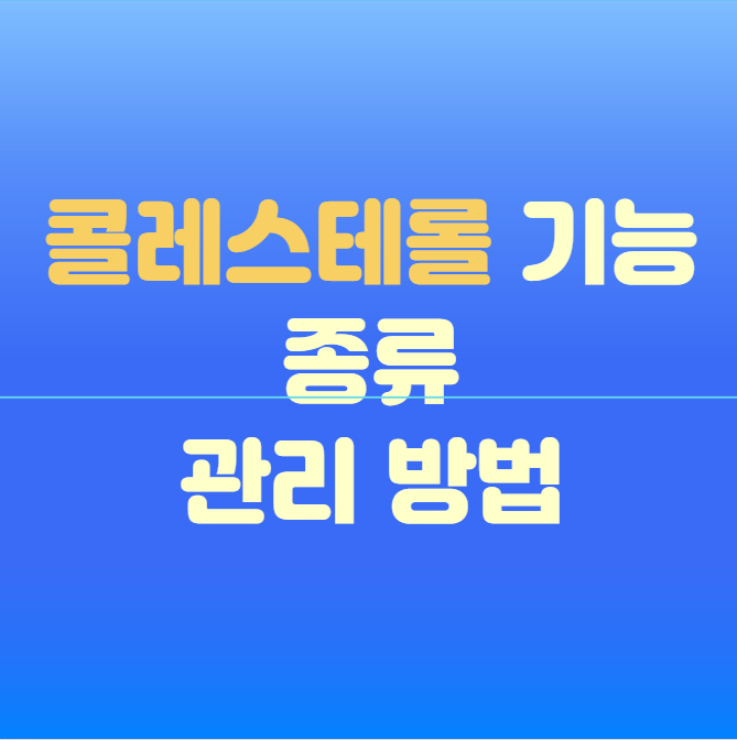 콜레스테롤 기능 종류 관리 방법
