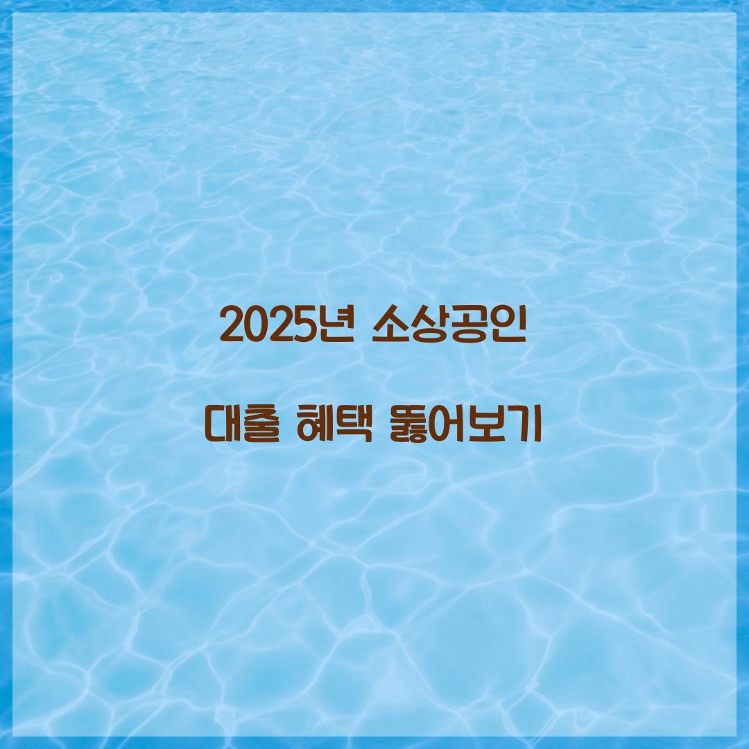 2025년 소상공인 대출