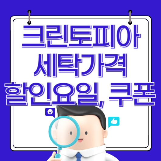 크린토피아 세탁가격