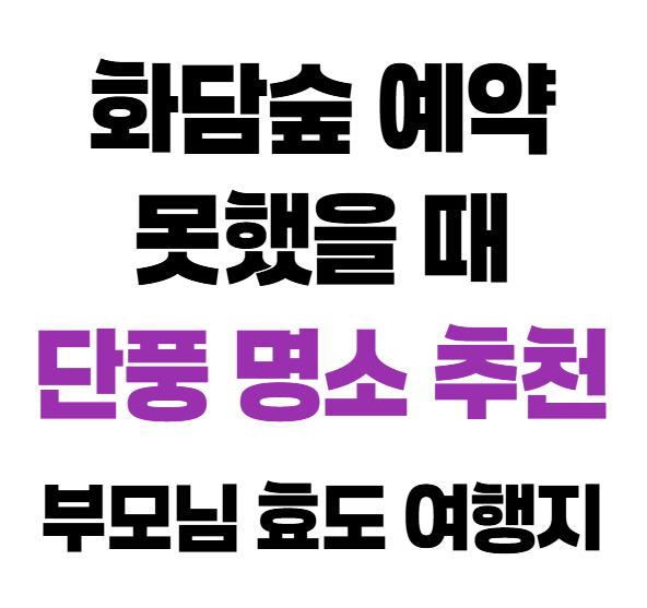 화담숲 예약 못했을 때 단풍 명소 추천,부모님 효도 여행지