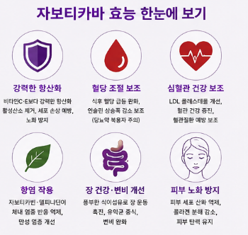자보티카바-효능-후기-부작용-가격-분말-알약