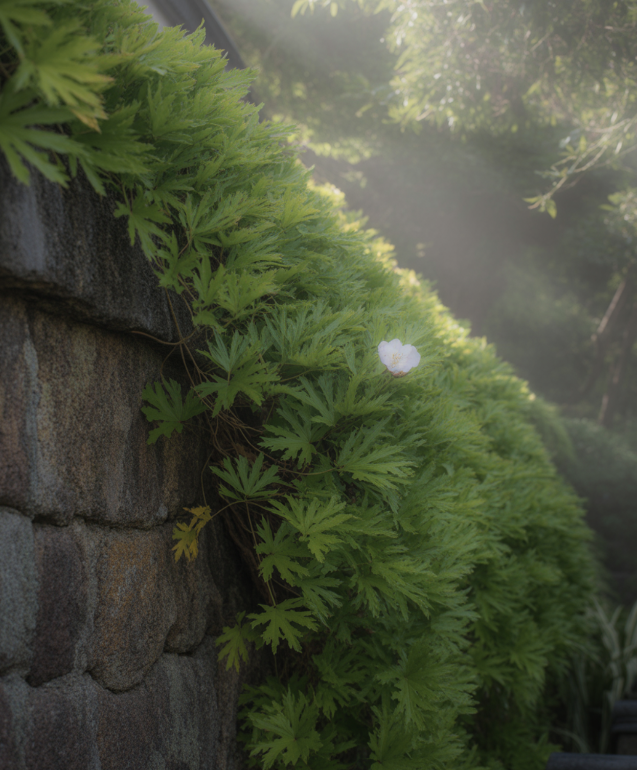 최고의 놀이터&amp;#44; &amp;#39;벽&amp;#39;을 선물하세요