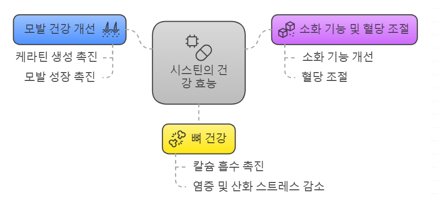시스틴 효능