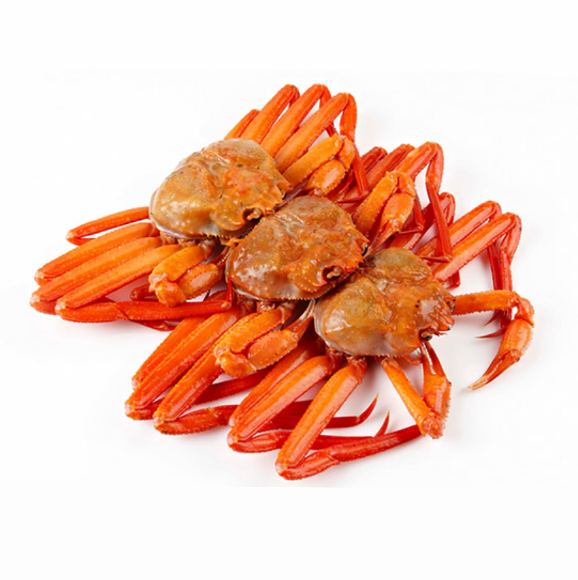 진열된-고투카원-GO2KA1-분말-가루-성분에-관심을-갖는-중년-여성