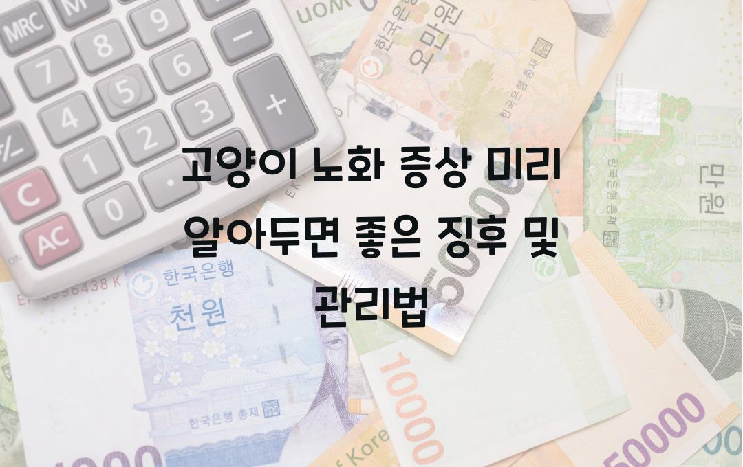 고양이 노화 증상, 미리 알아두면 좋은 징후