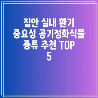 실내화분 환기 요령 미세먼지 많은날 창문관리 공기청정기 병행 팁_4