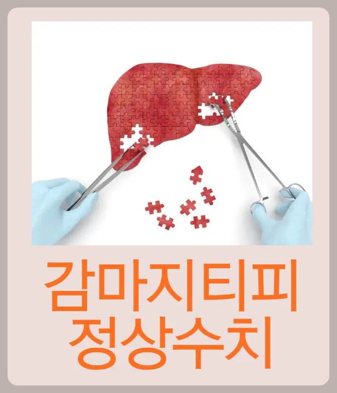 감마지티피 정상수치