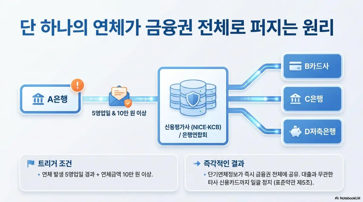 대출연체 카드정지: 대출 연체 시 5영업일 경과 후 연체 정보가 신용평가사와 은행연합회를 통해 금융권 전체에 공유되는 원리를 보여주는 인포그래픽. 단 하나의 연체가 금융권 전체로 퍼지는 구조를 설명함 