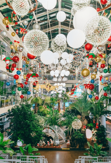 포레스트아웃팅스-카페내부-숲