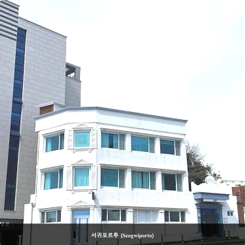 서귀포르투 (Seogwiporto)_4